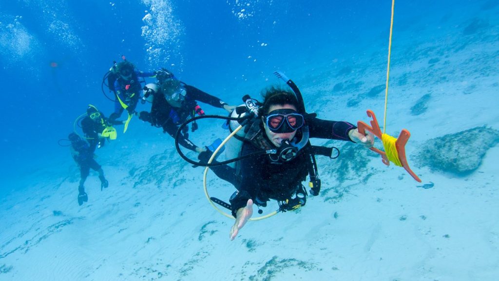 Drift Diver - Duiken in stromend water - Leer het bij de PADI instructeur van Onderwatersport Nijmegen